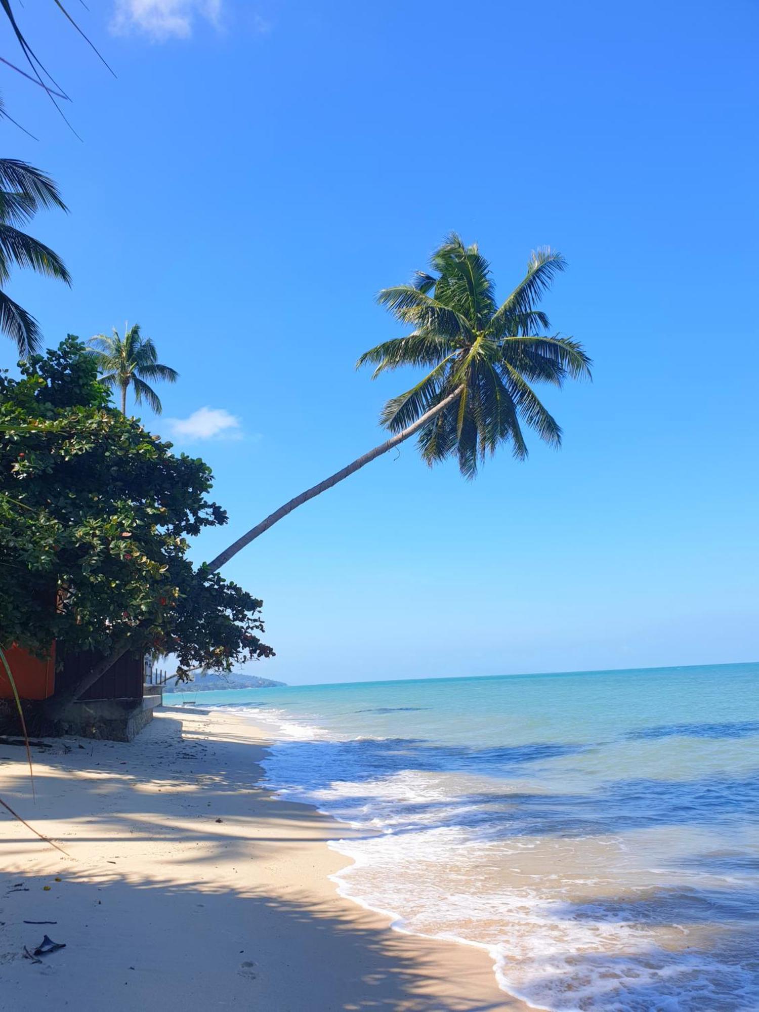 매남비치 Samui Blue Bird B&B 외부 사진