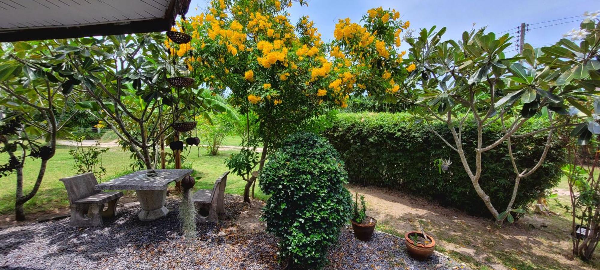 매남비치 Samui Blue Bird B&B 외부 사진